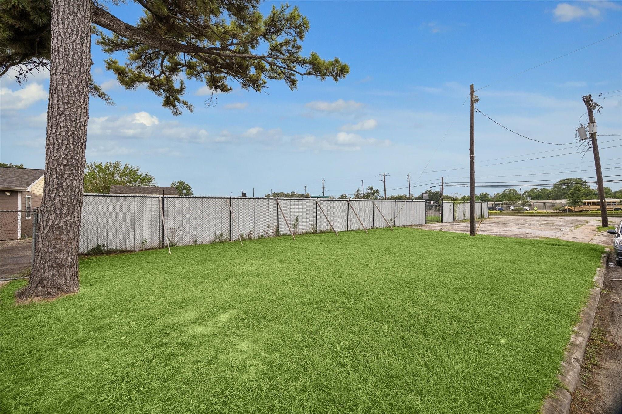 Grassy fenced property lot with a large pine tree and paved parking area.