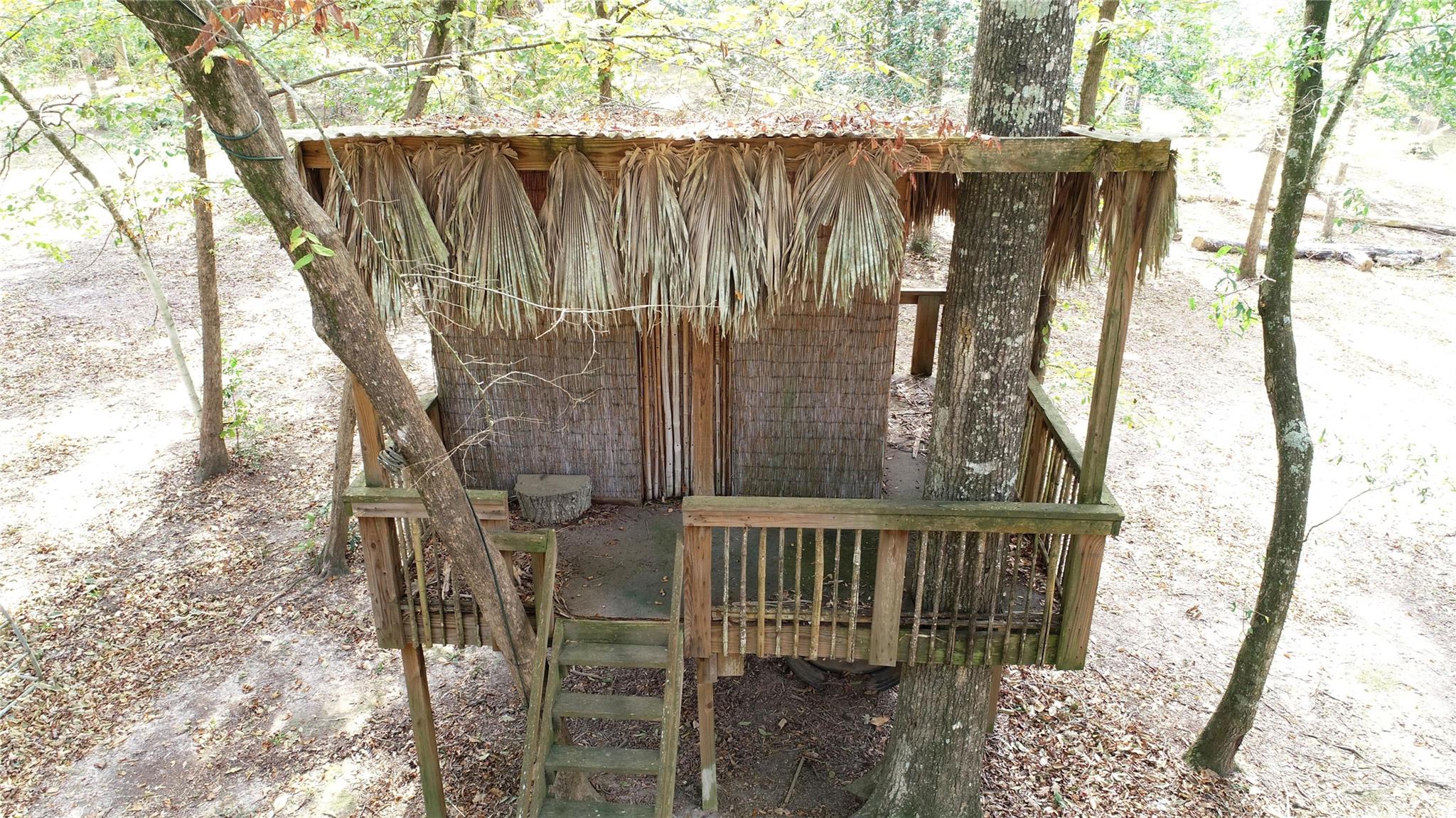 630 Hillbilly Heaven Road