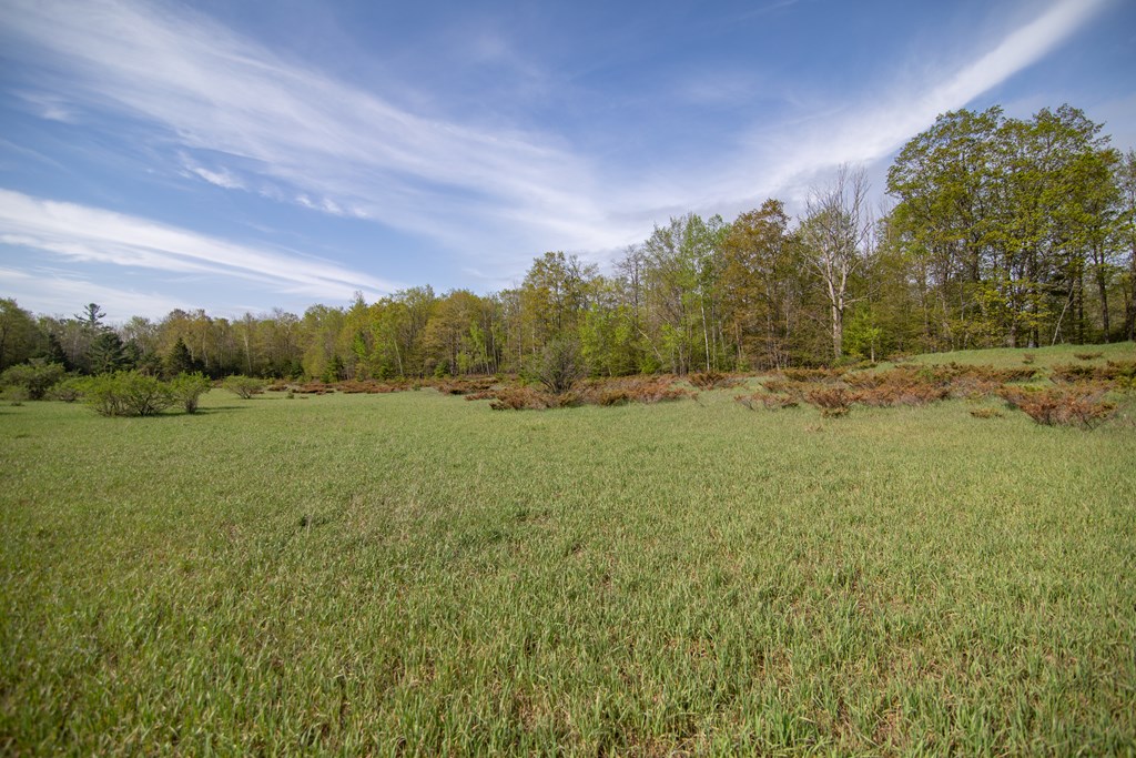 Lot 31 County Rd F