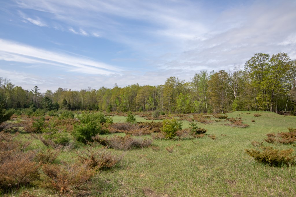 Lot 31 County Rd F