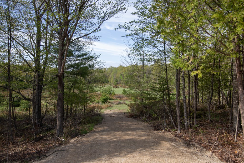 Lot 31 County Rd F
