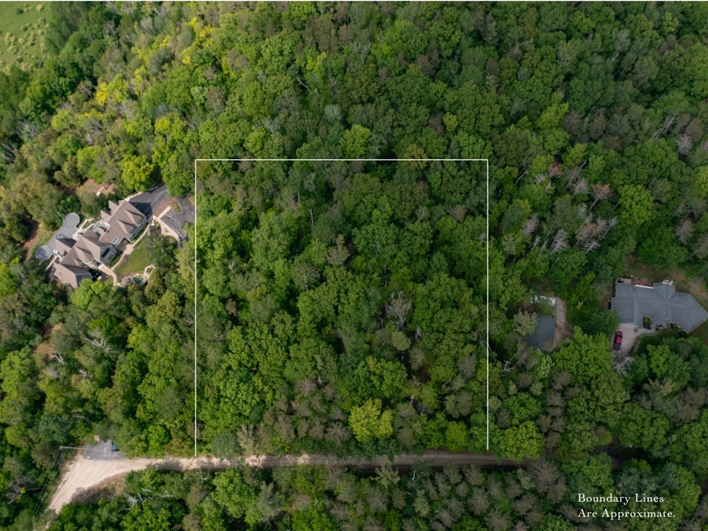 TBD Pine Tree Rd