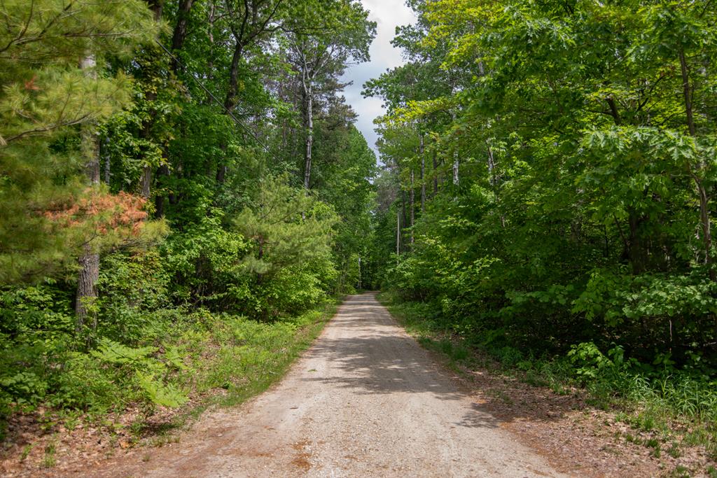 TBD Pine Tree Rd