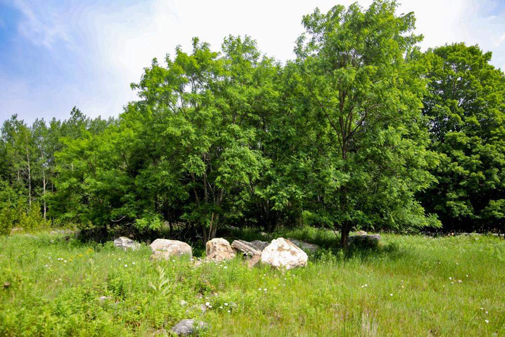 Lot 2 County Rd F