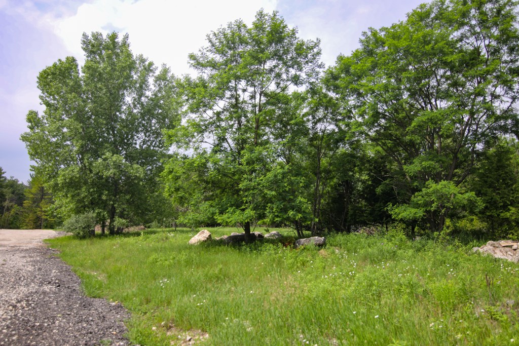 Lot 2 County Rd F