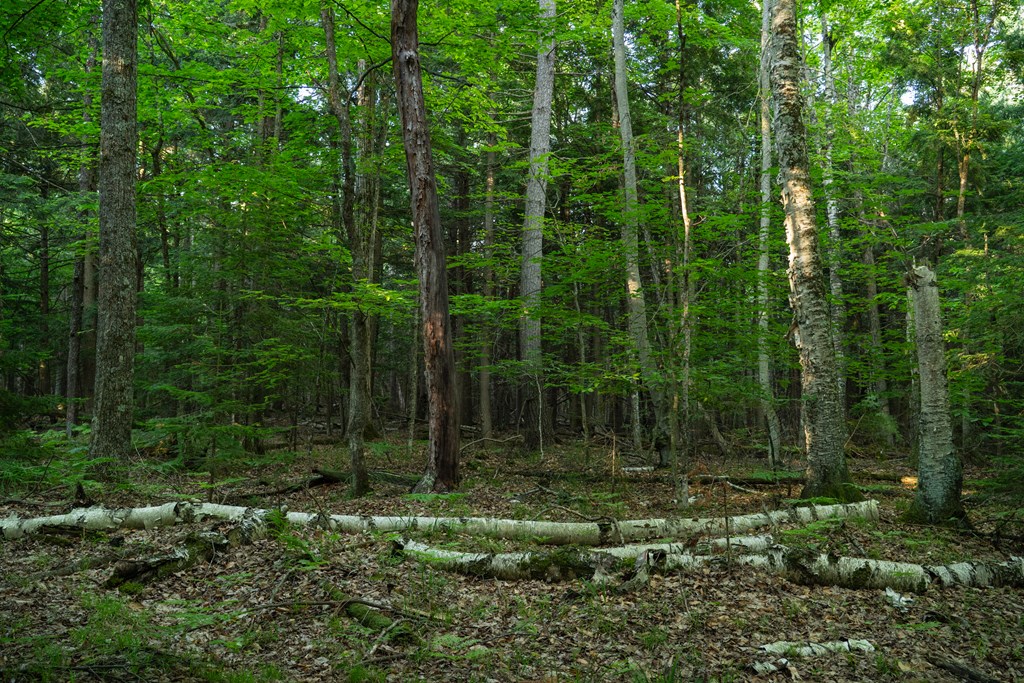 Lot 5 County Rd F