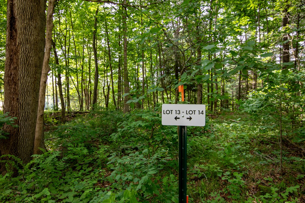 Lot 14 County Rd F