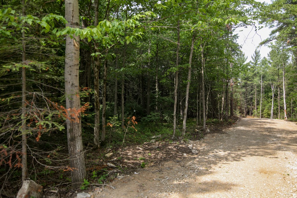 Lot 14 County Rd F