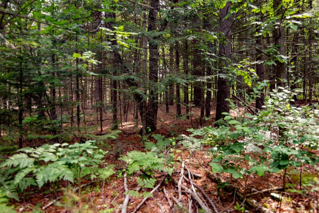 Lot 14 County Rd F