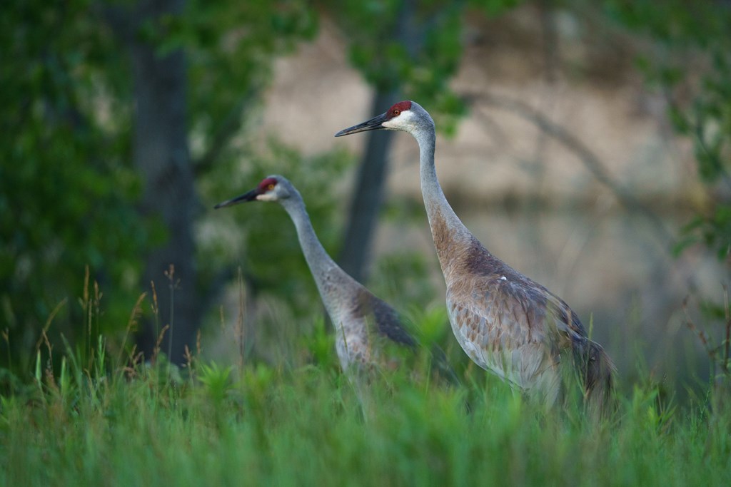 Lot 14 County Rd F