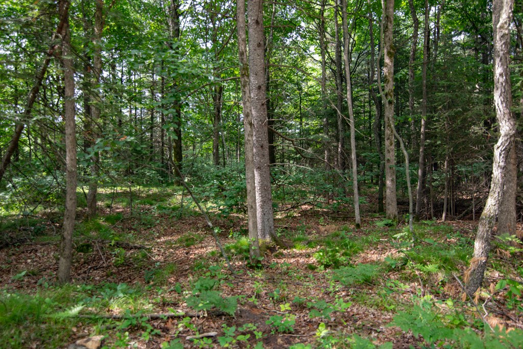 Lot 13 County Rd F