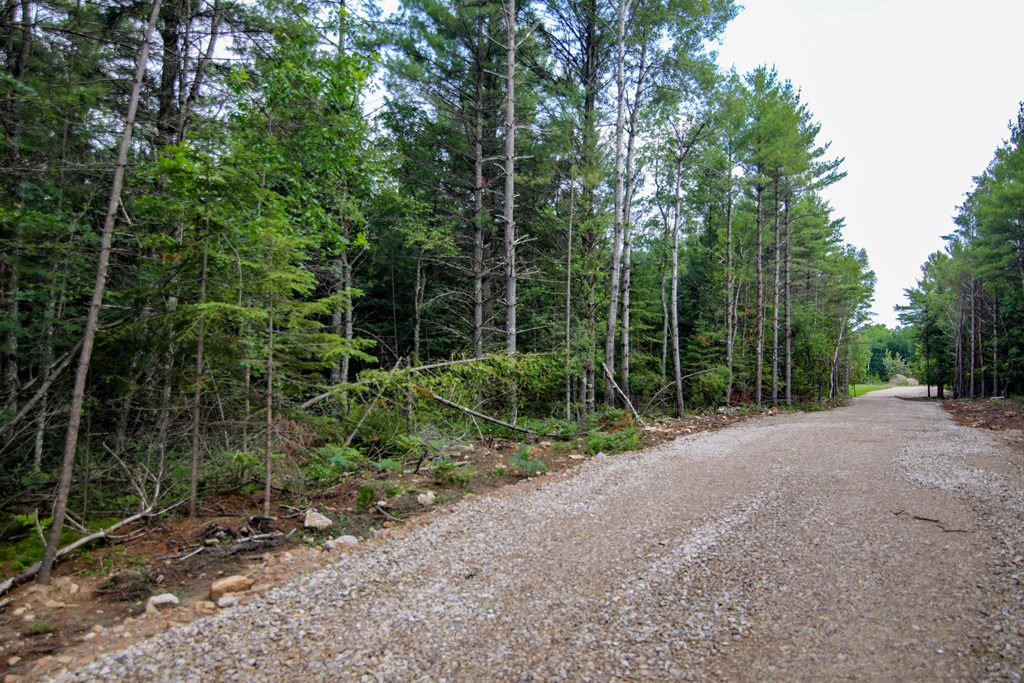 Lot 11 County Rd F