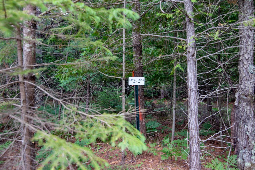 Lot 11 County Rd F
