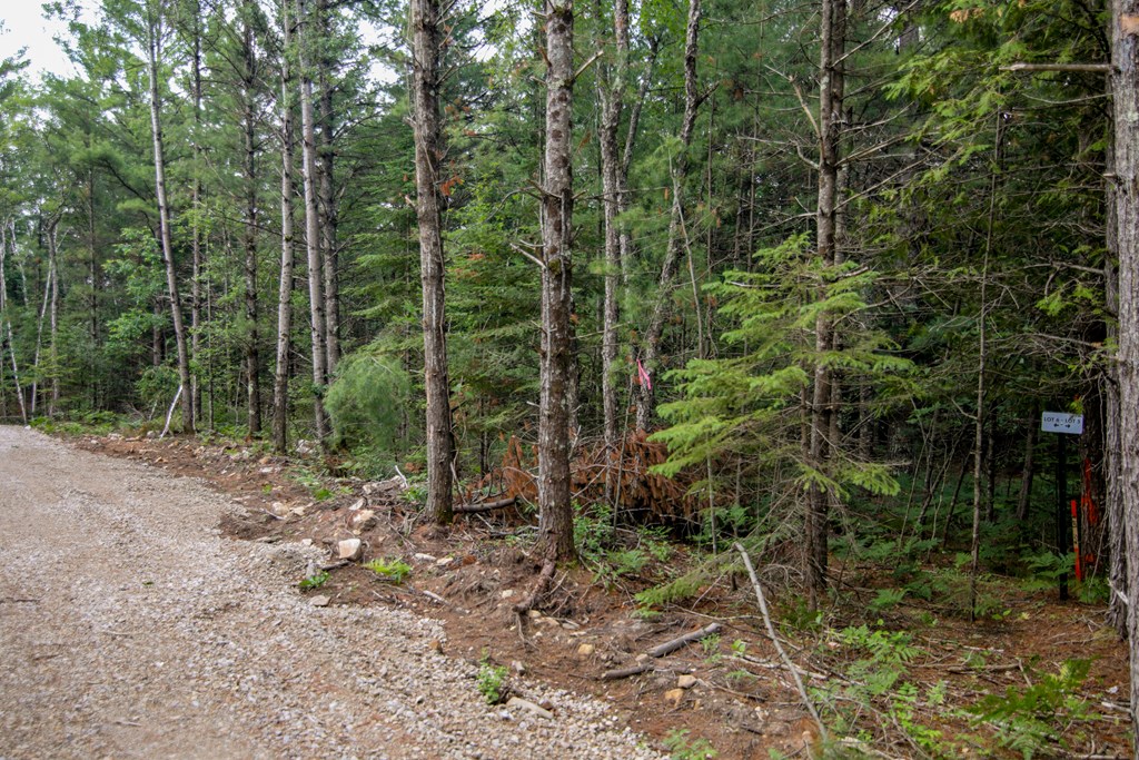 Lot 11 County Rd F