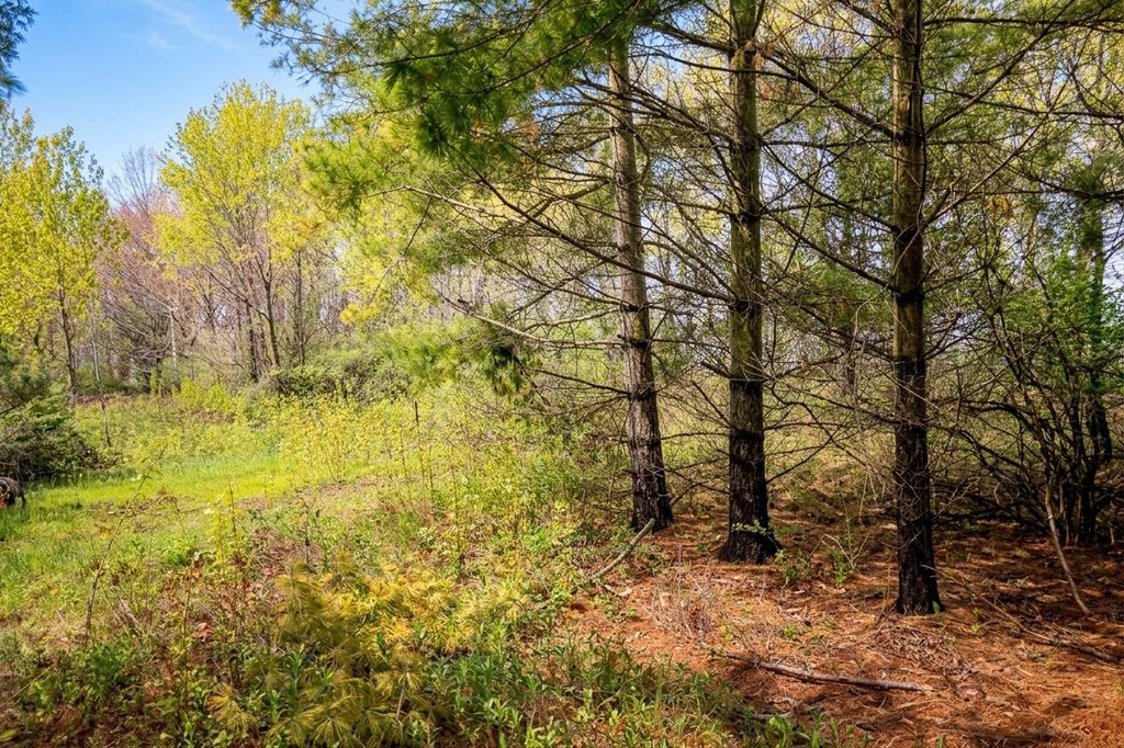 Lot 2 Bay Shore Heights Dr