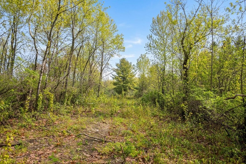 Lot 2 Bay Shore Heights Dr