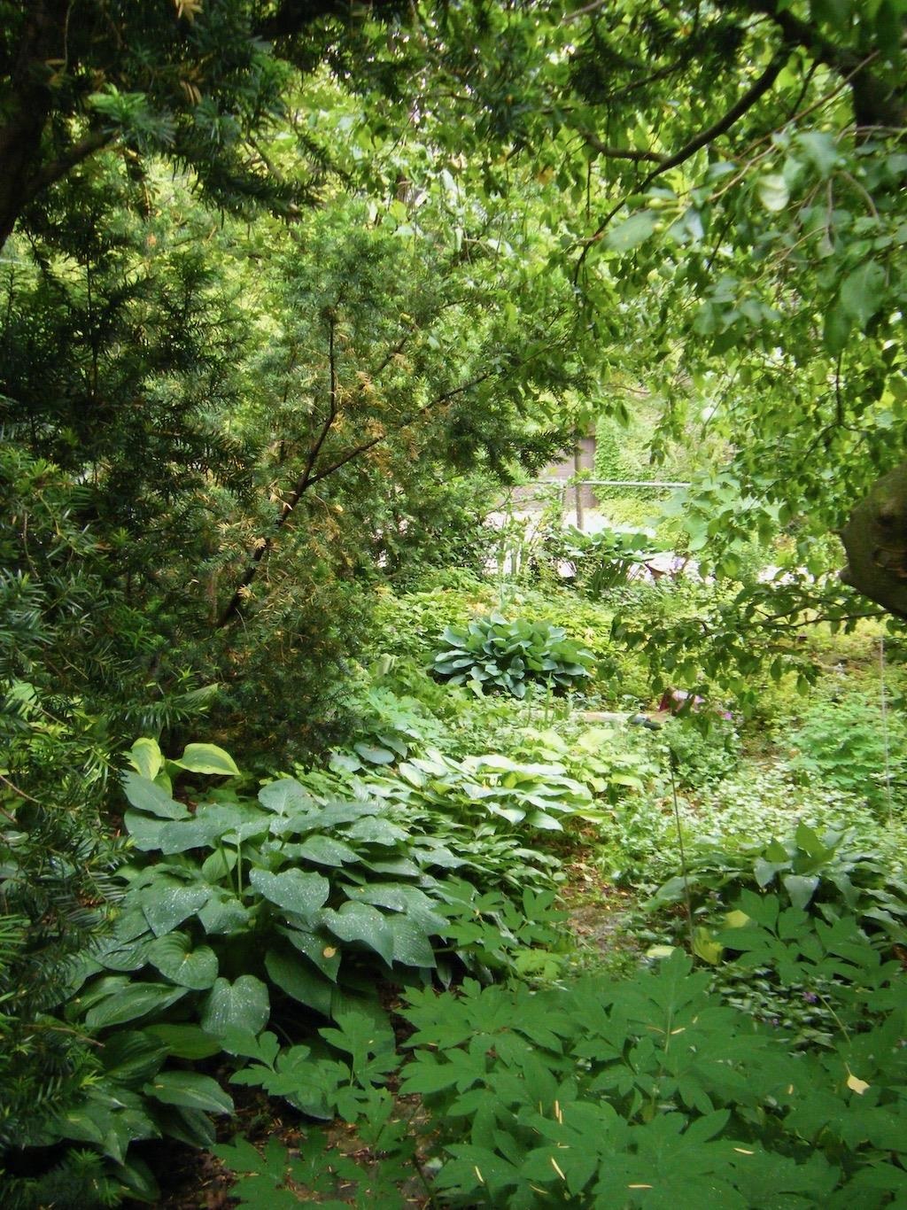 217 Shepard Terrace
