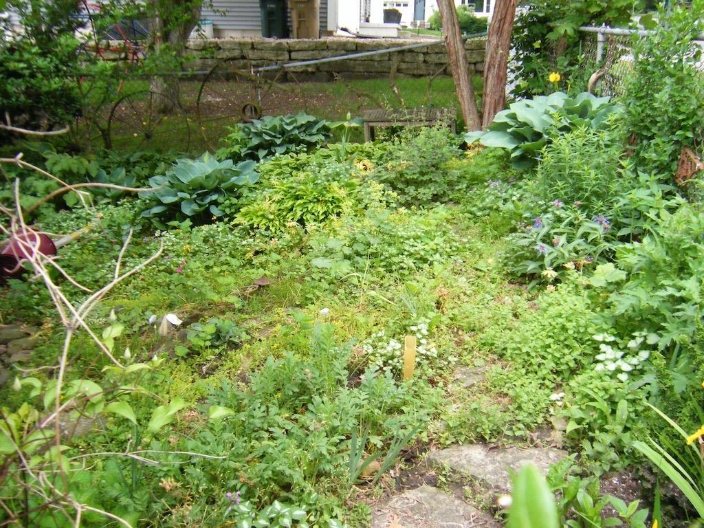 217 Shepard Terrace