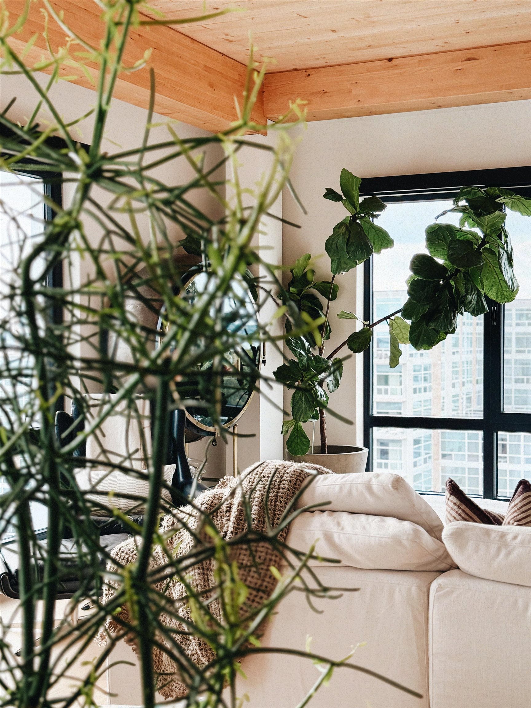 10 S Paterson Street 1401