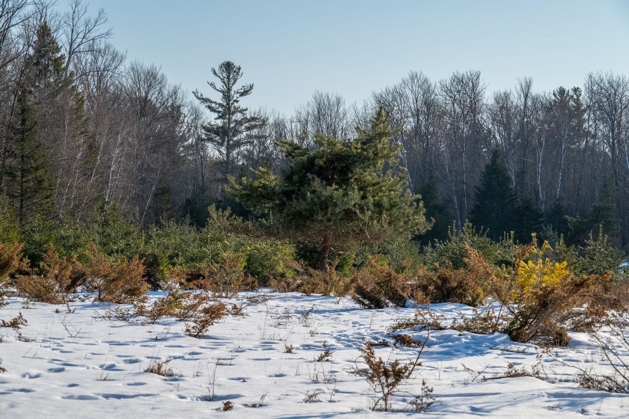 COUNTY RD F Unit: 31