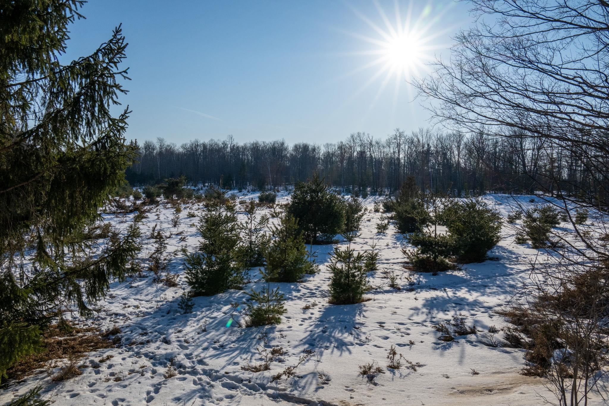 COUNTY RD F Unit: 31