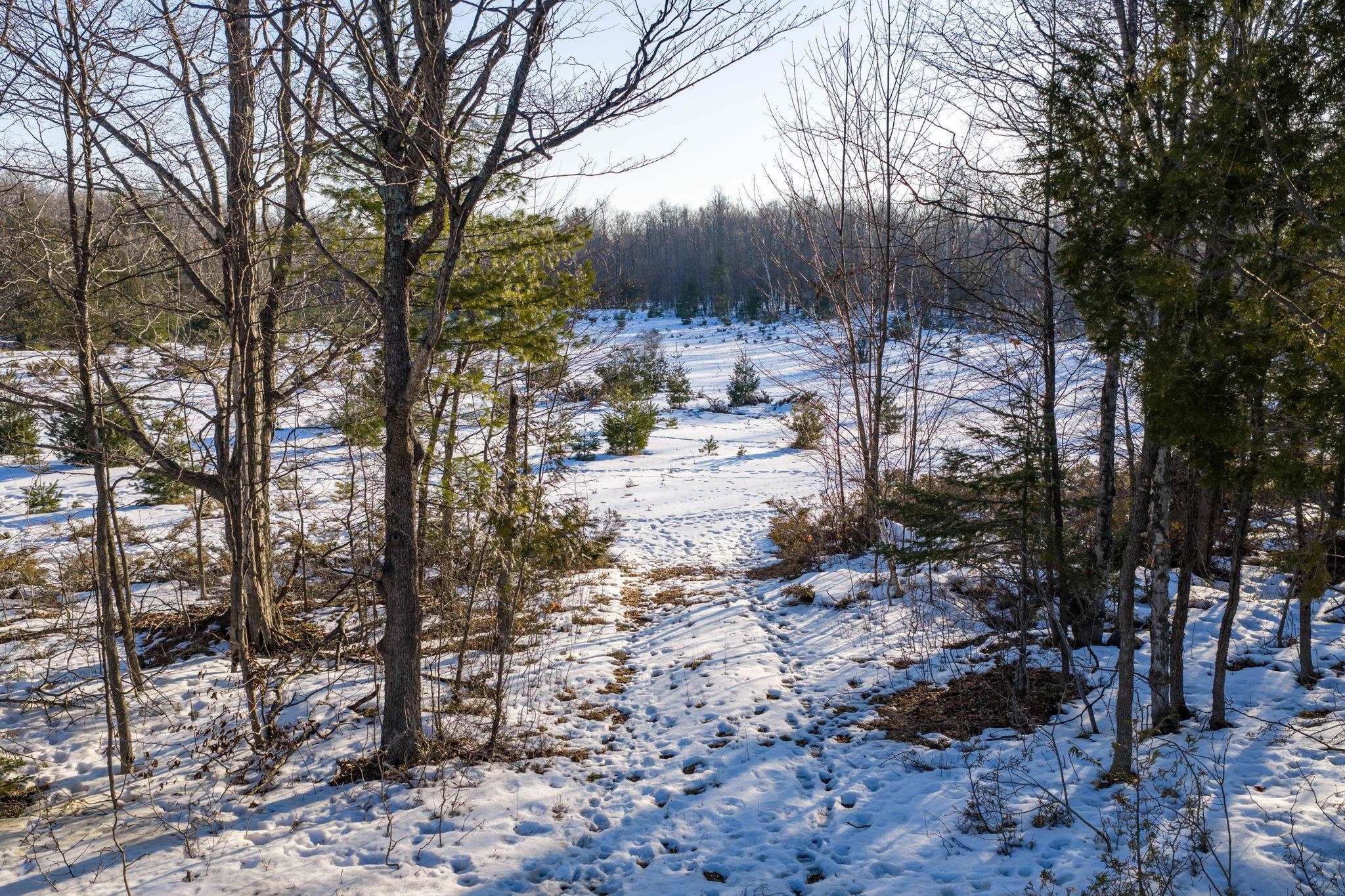 COUNTY RD F Unit: 31