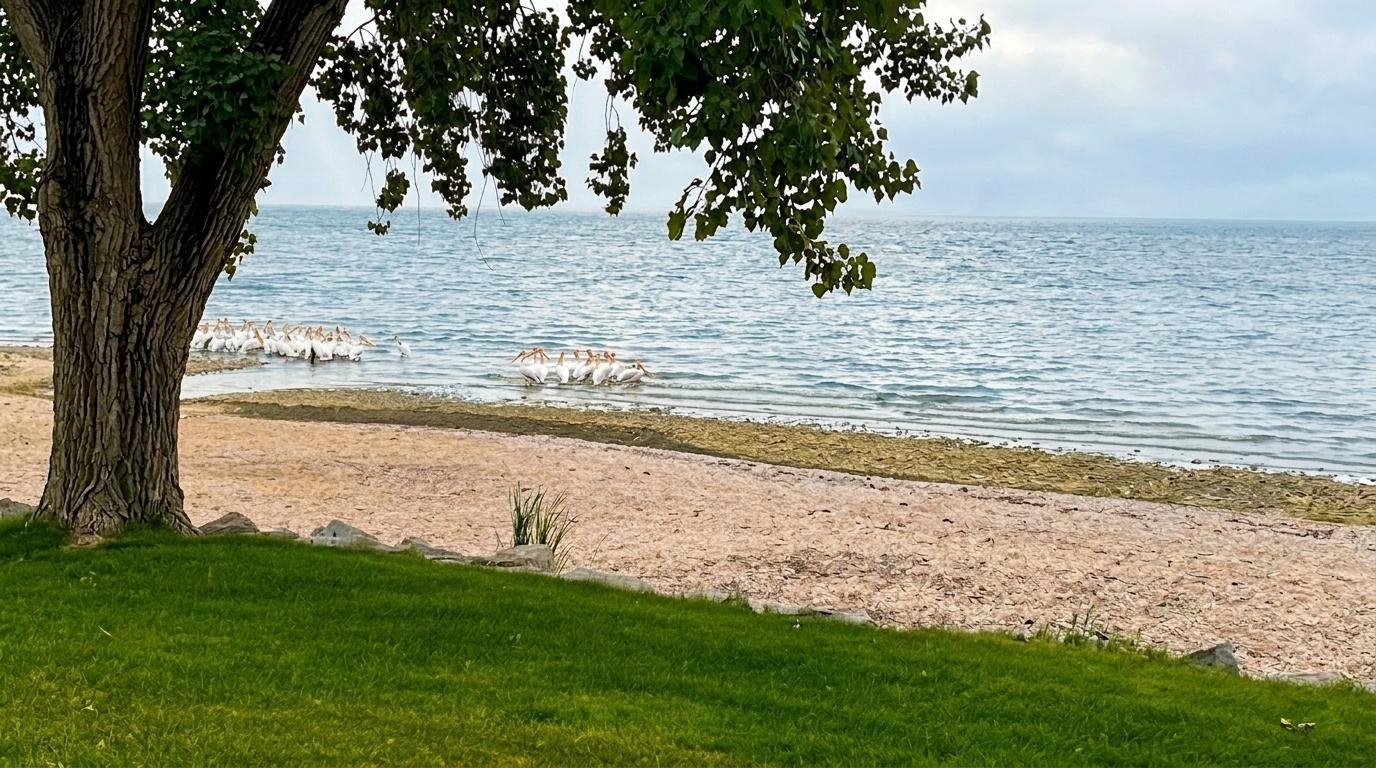 6121 SANDY Cove