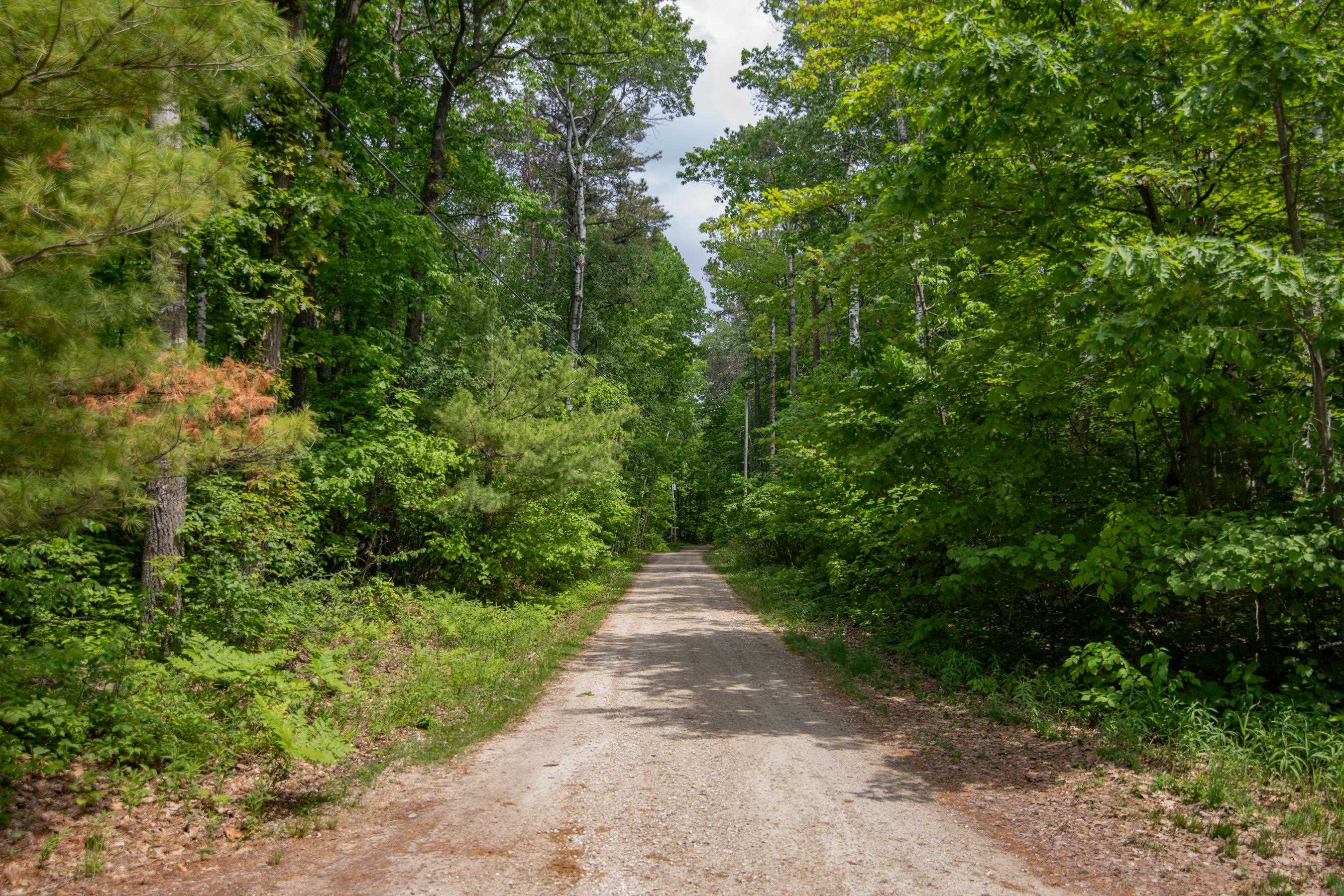 PINE TREE Road