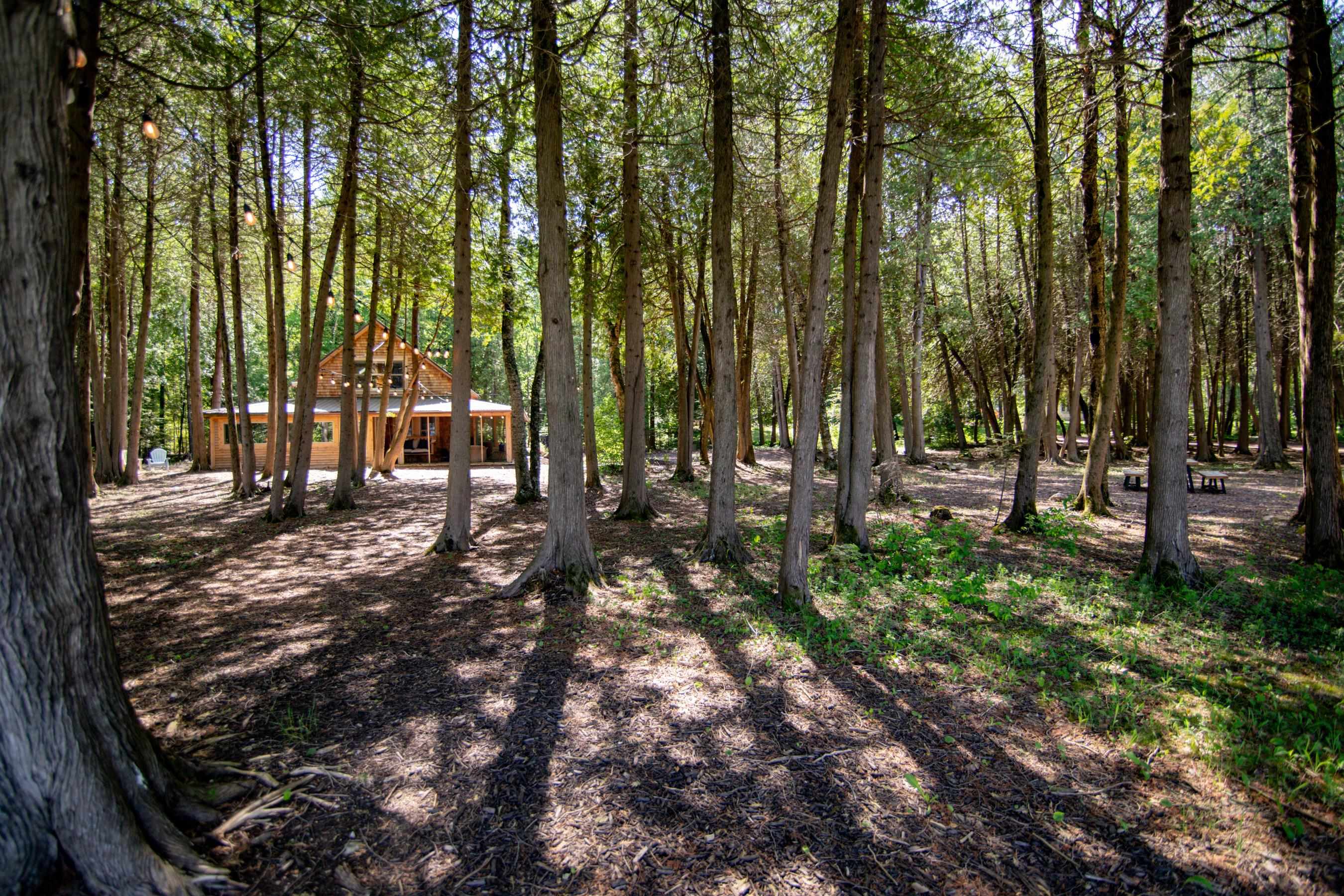 6027 LADY SLIPPER Road