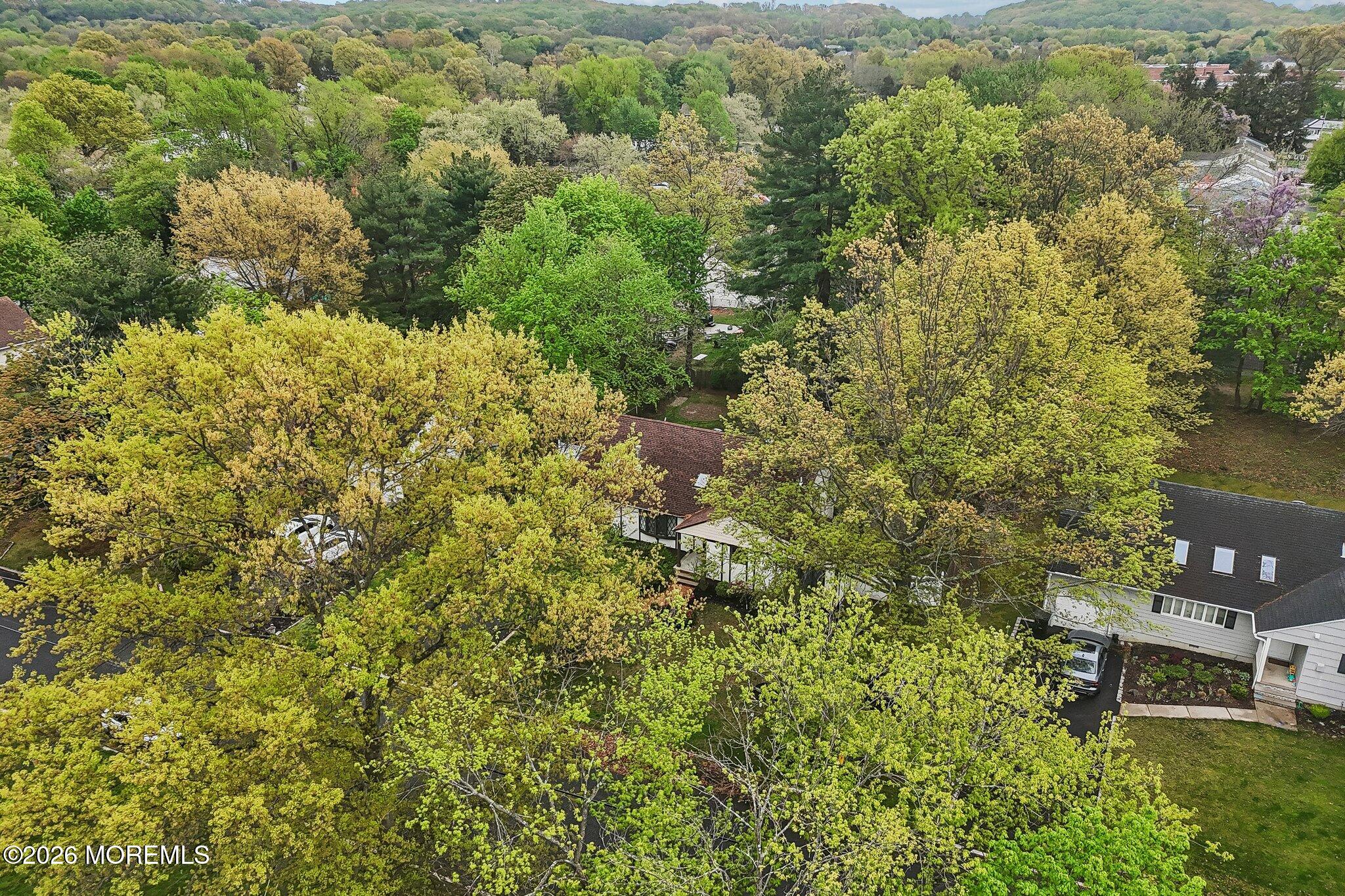 4 Woodland Road