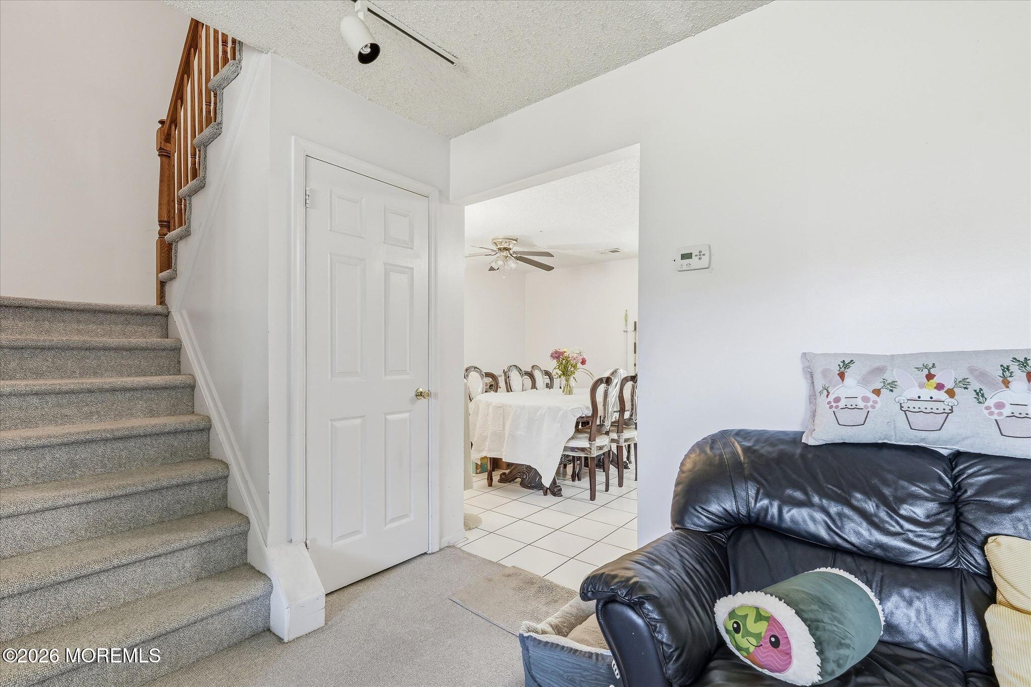 8 Stuart Drive 4