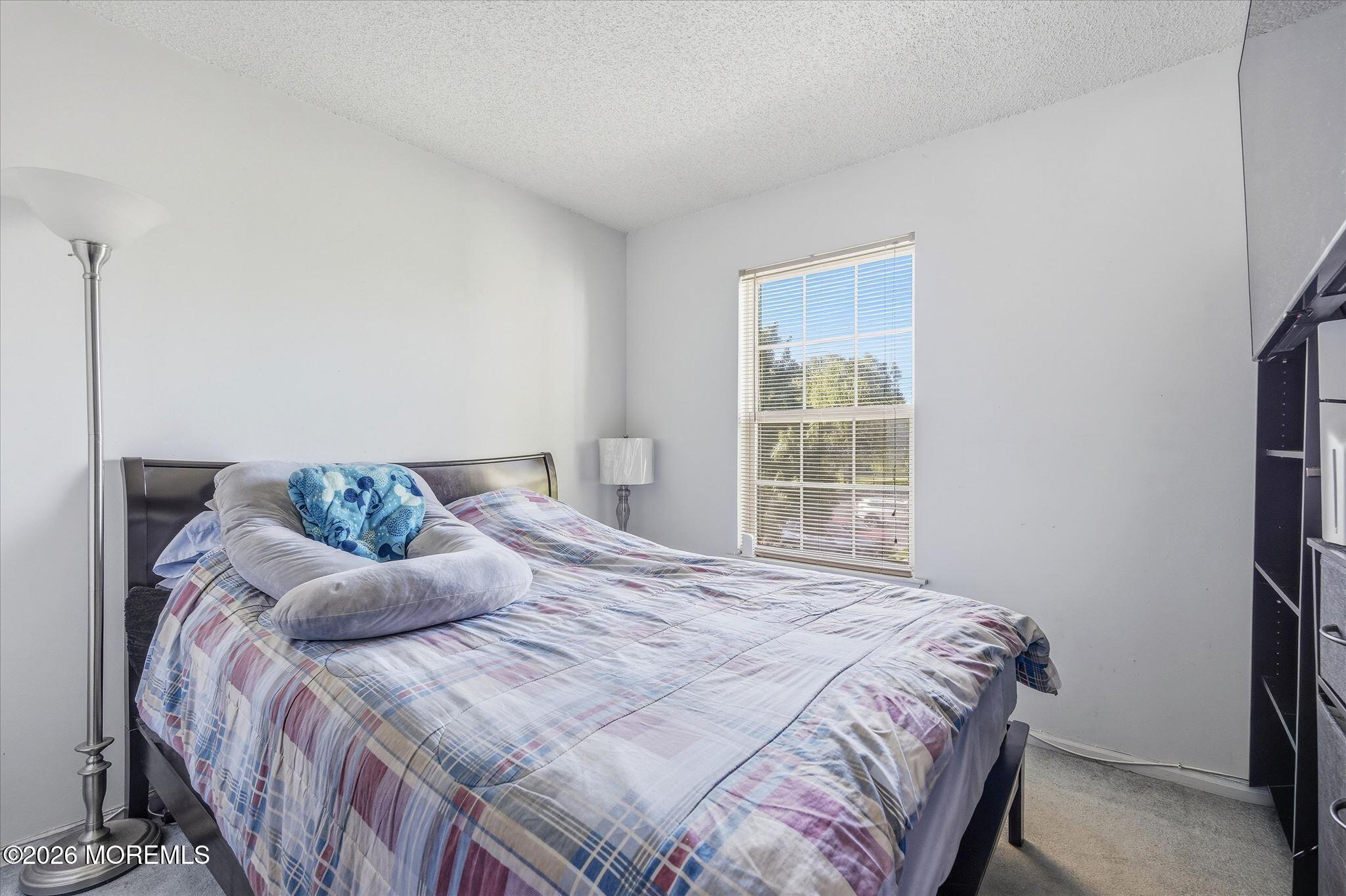 8 Stuart Drive 4