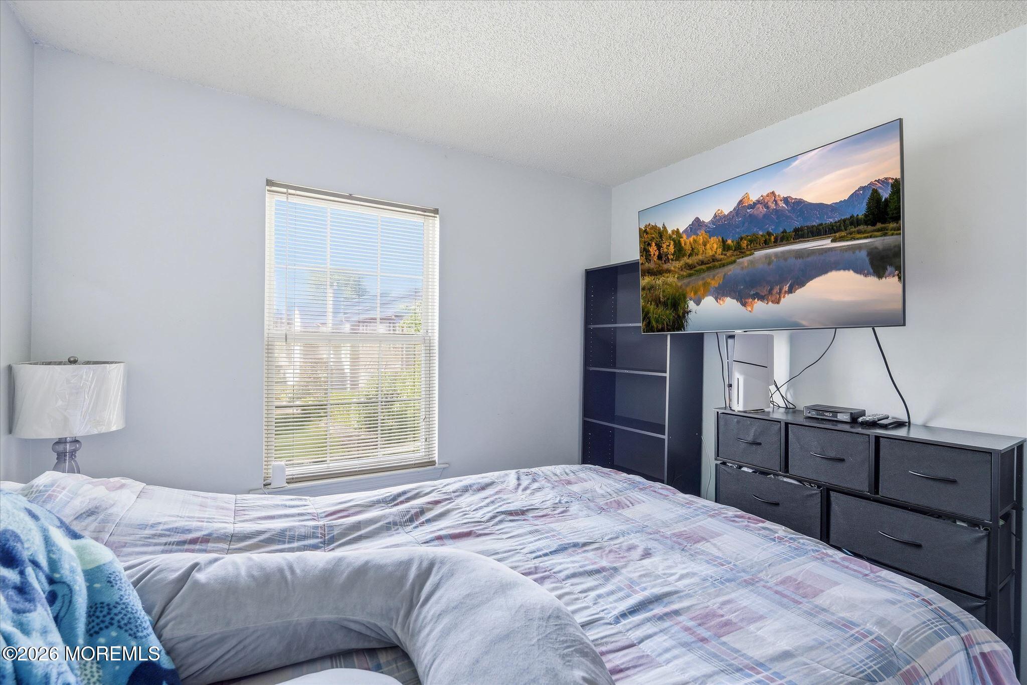 8 Stuart Drive 4