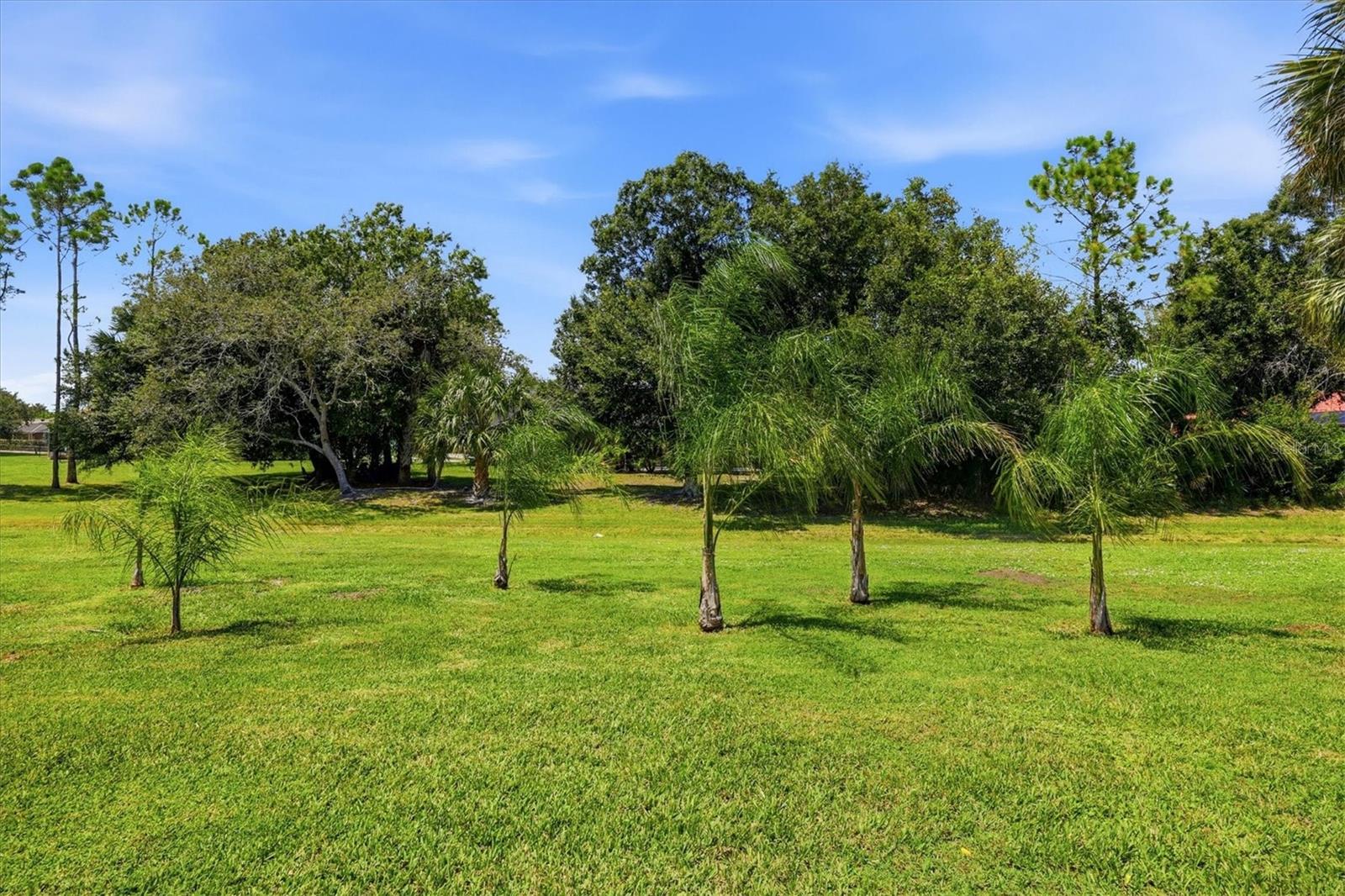 26124 COPIAPO CIR