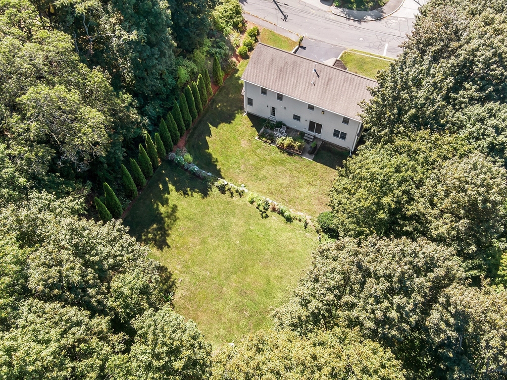 64 Harrison Ave