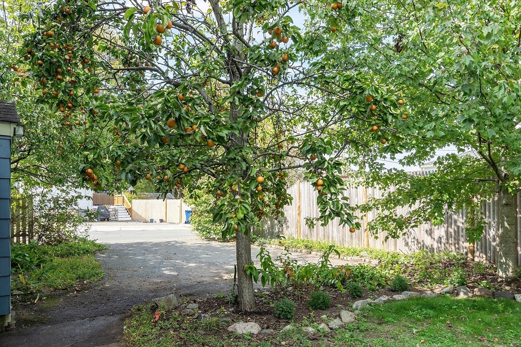 366 Grove St, Melrose