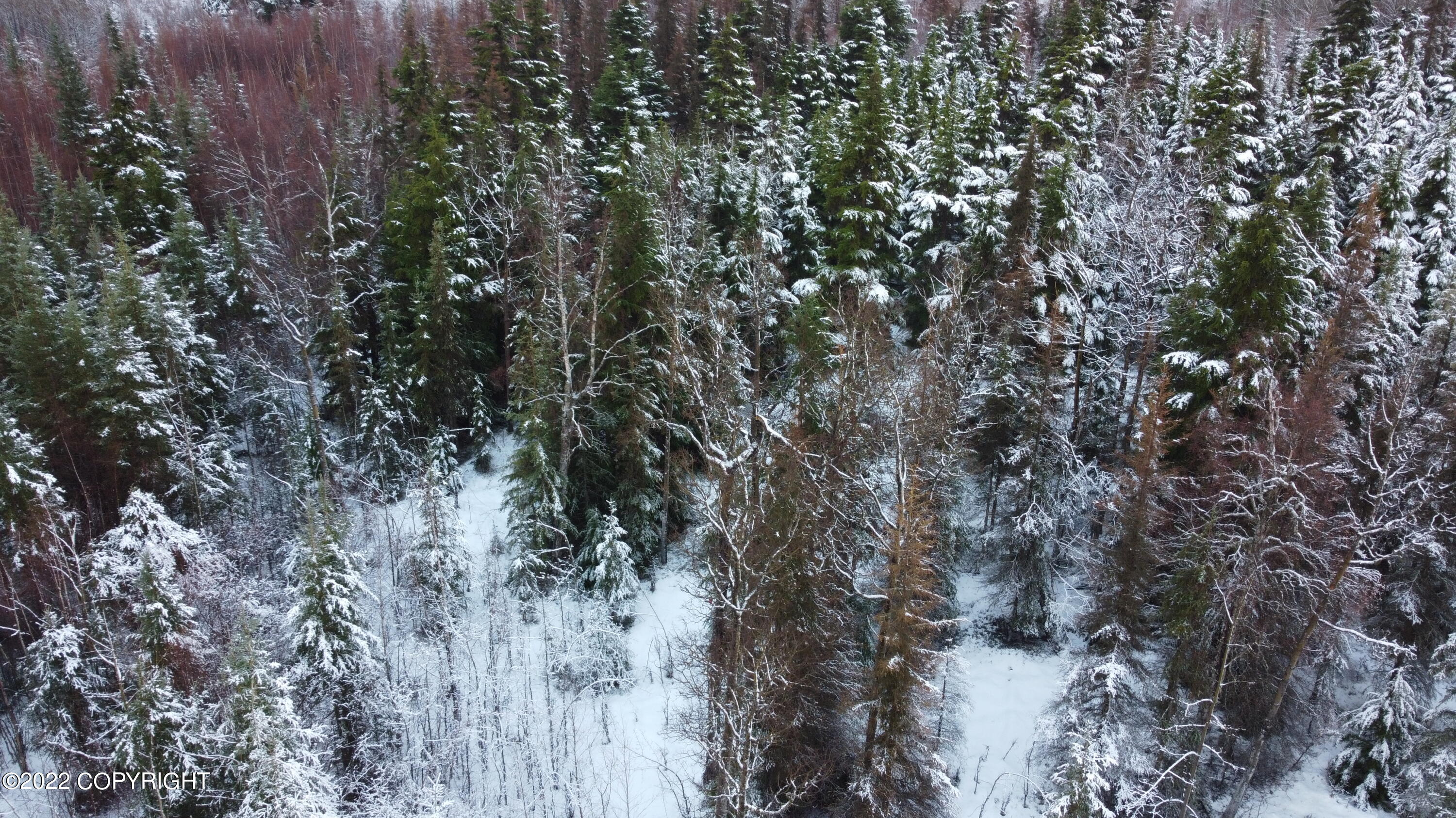 17881 Sterling Highway