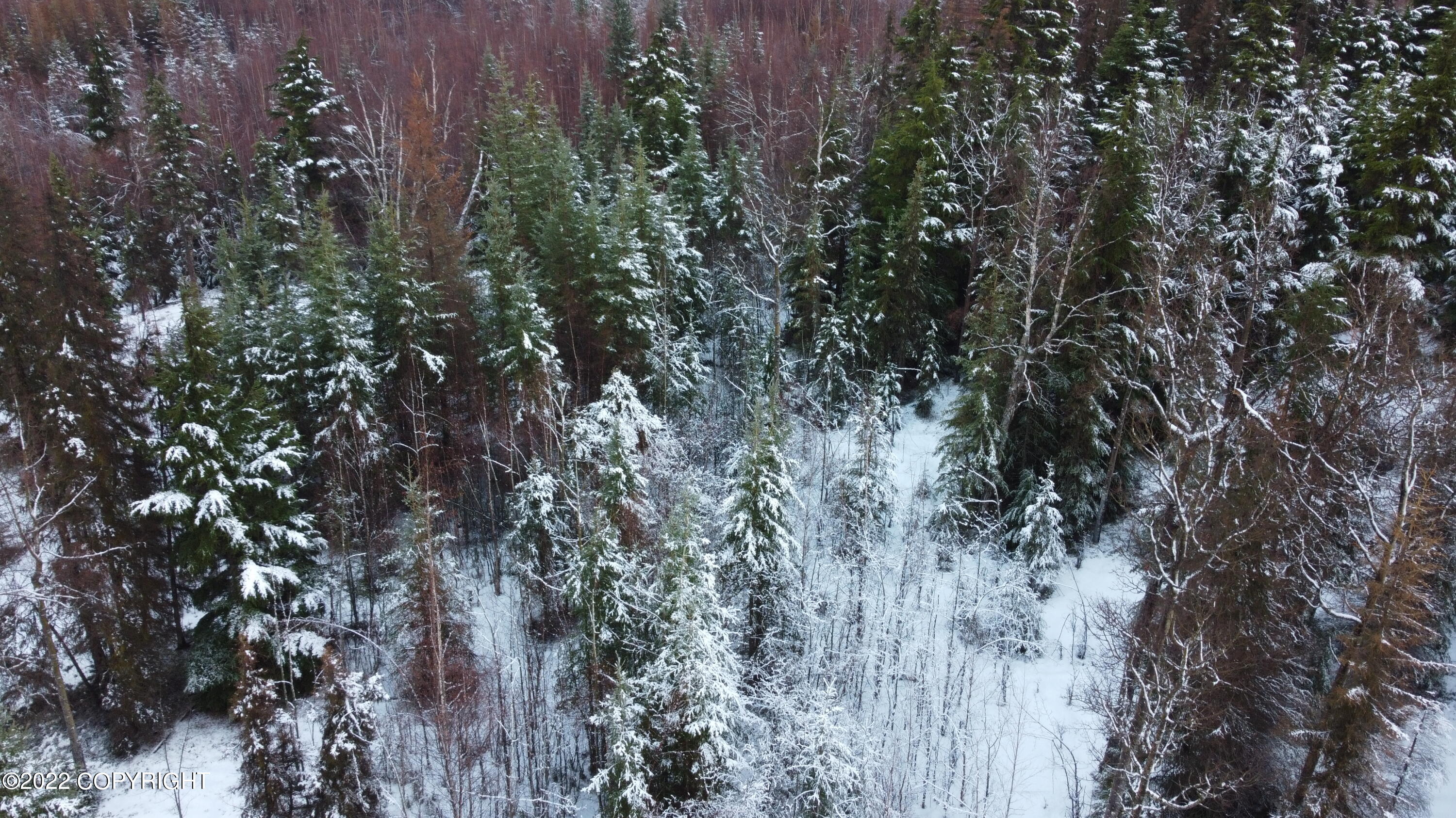 17881 Sterling Highway