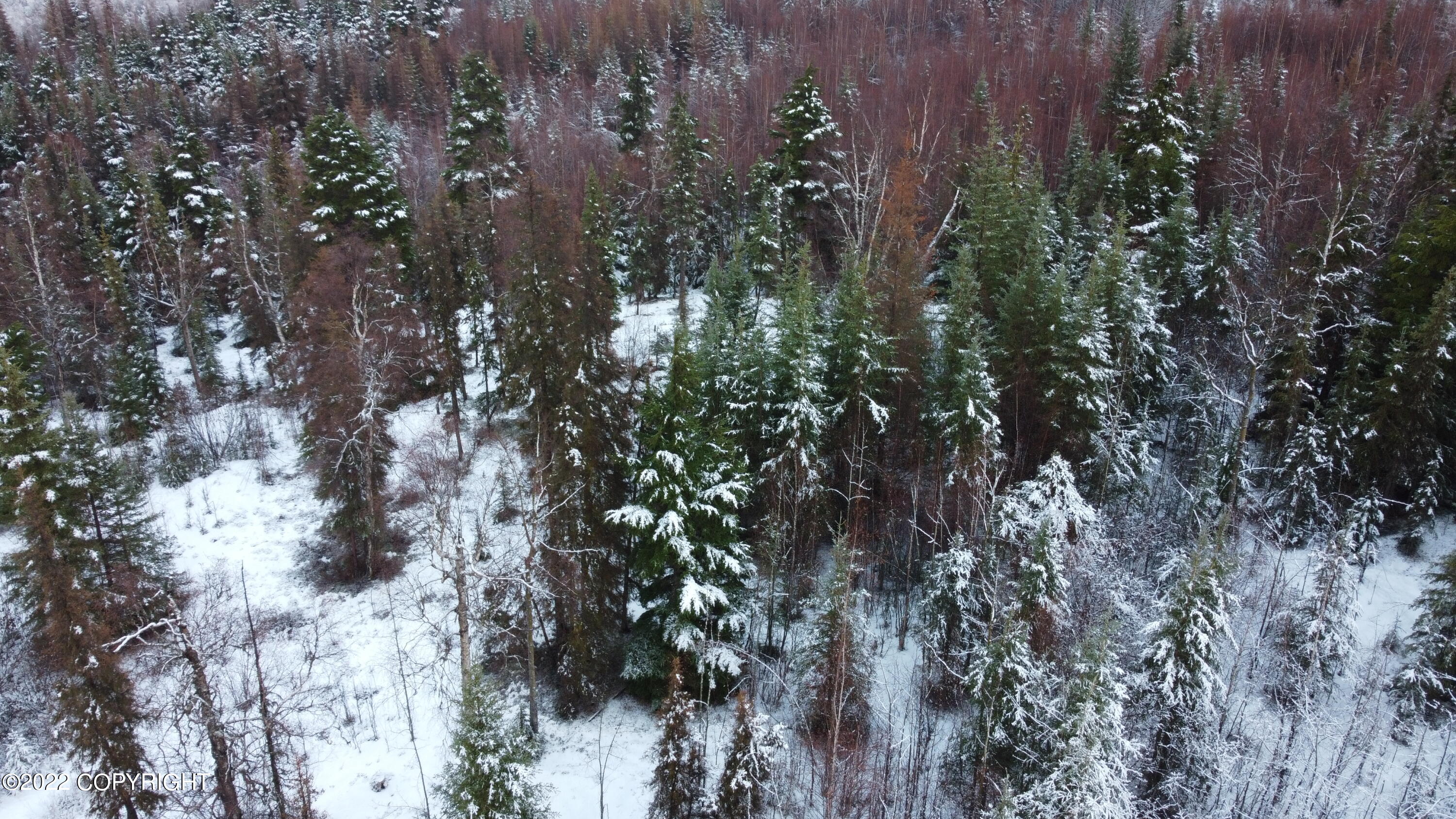 17881 Sterling Highway