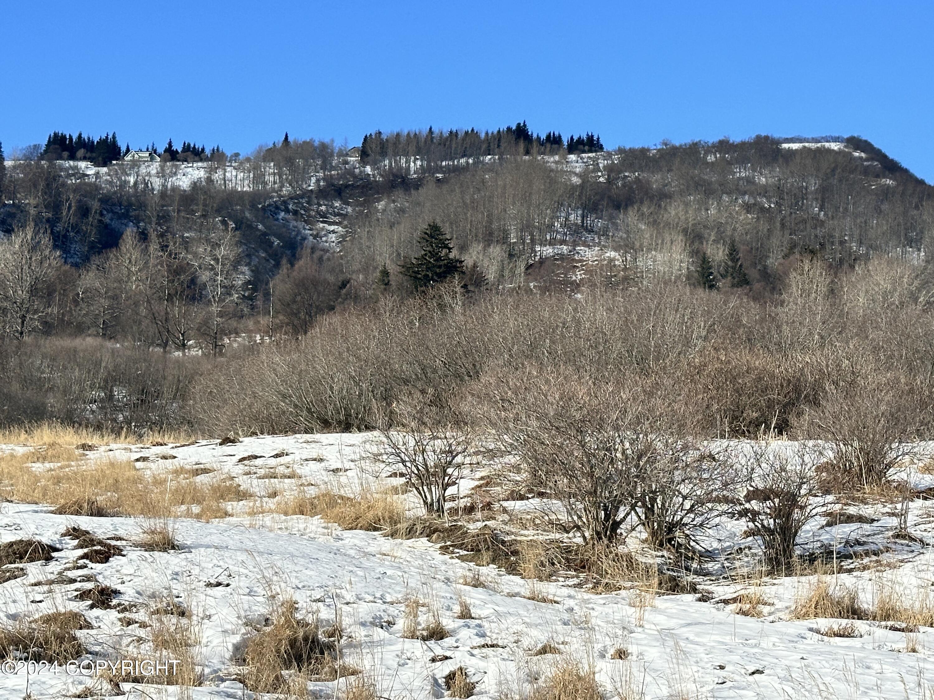 41151 Wandering Street