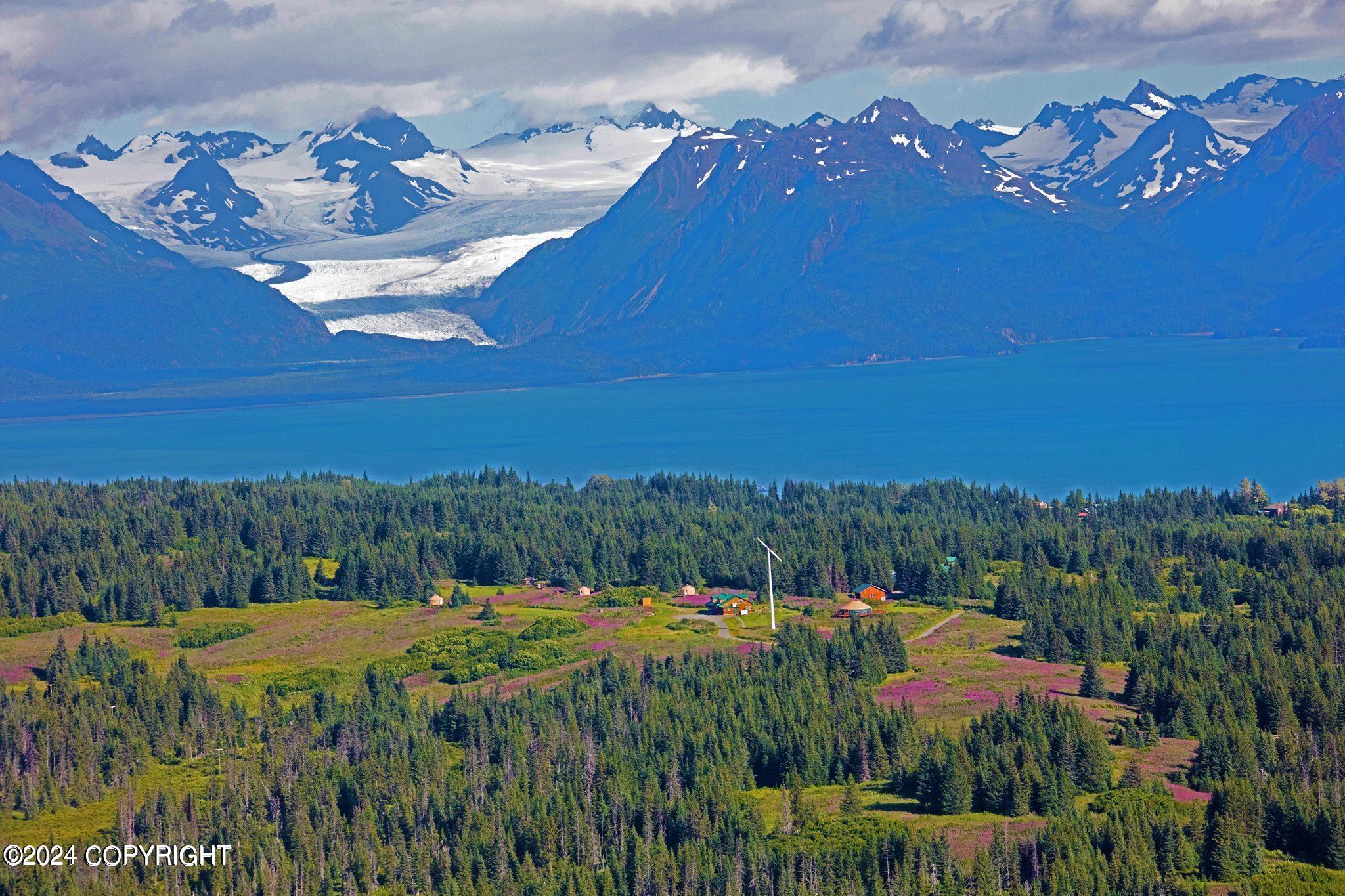 61420 FLORENCE MARTIN Court