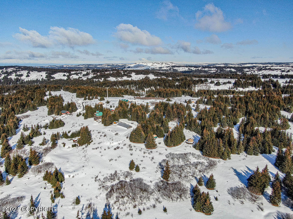 61447 Florence Martin Court