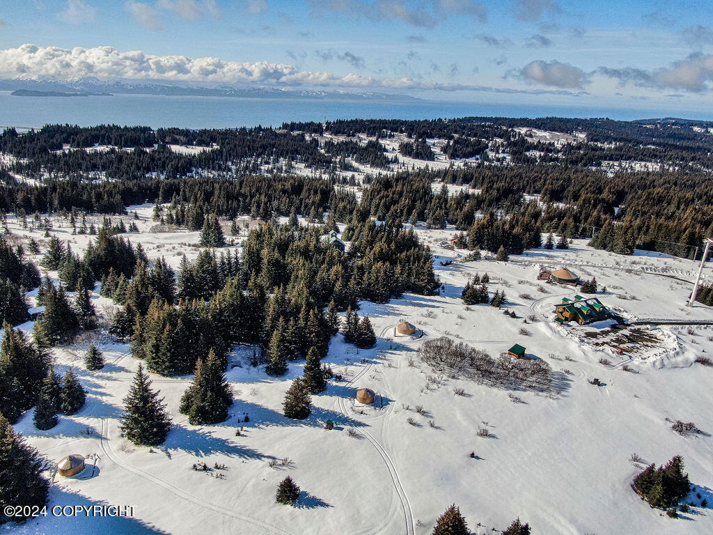 61447 Florence Martin Court