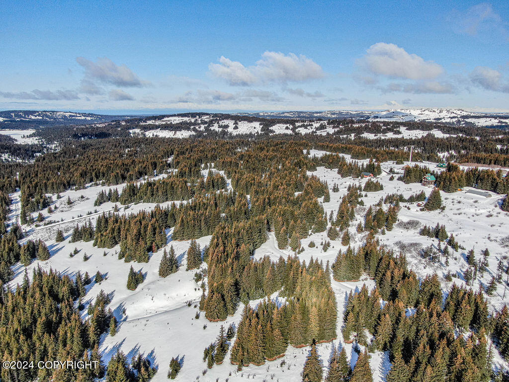 61447 Florence Martin Court