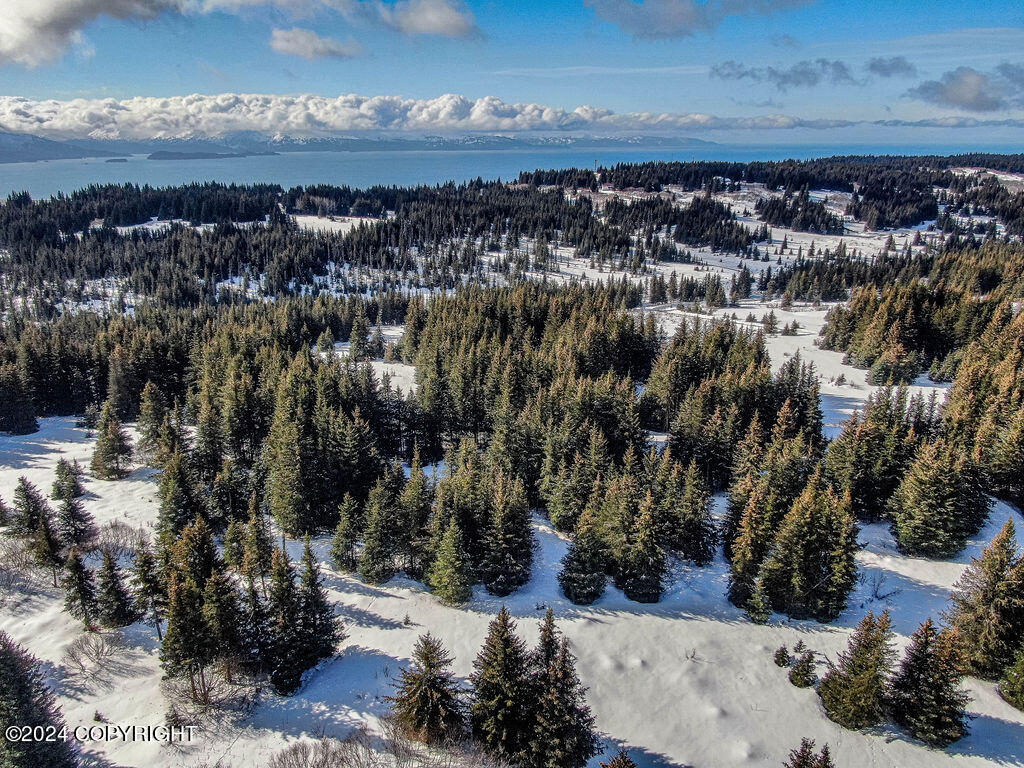 61447 Florence Martin Court