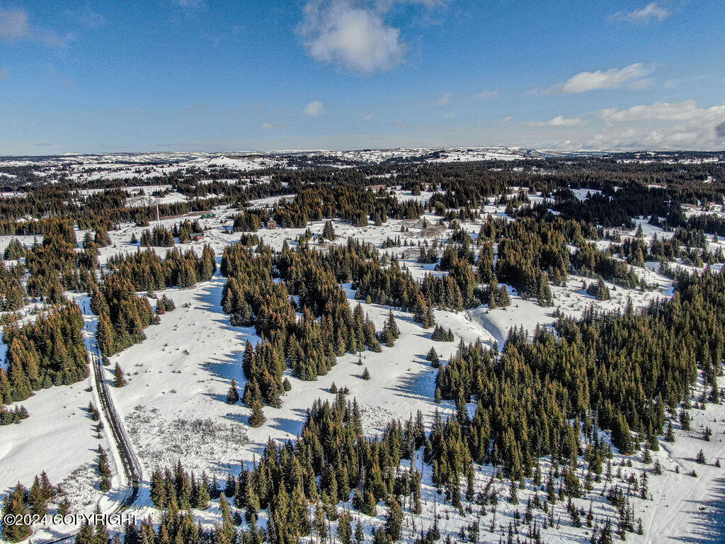 61447 Florence Martin Court