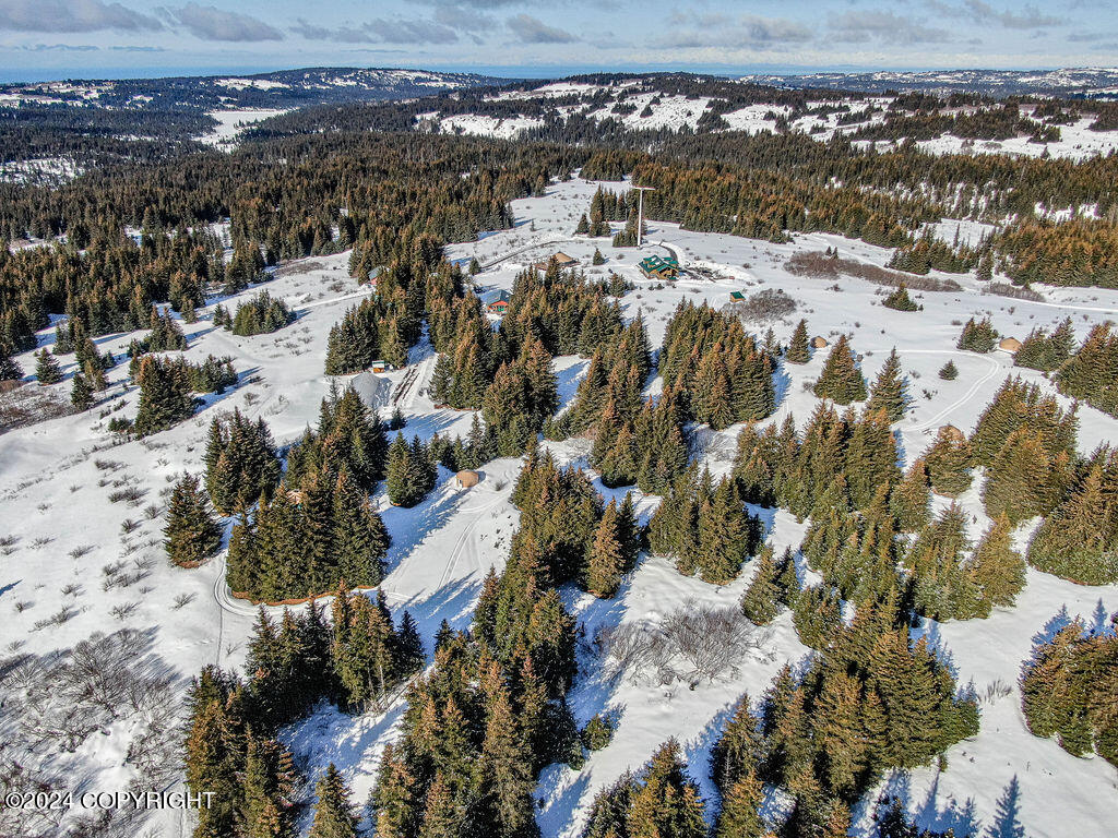 61447 Florence Martin Court