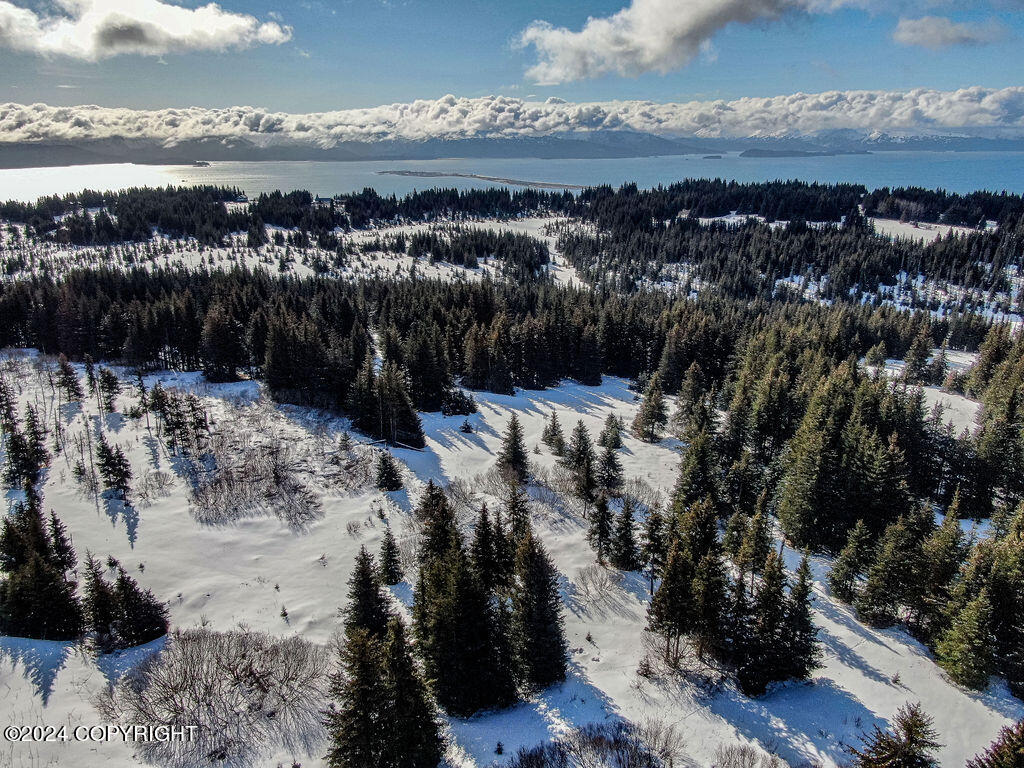 61447 Florence Martin Court