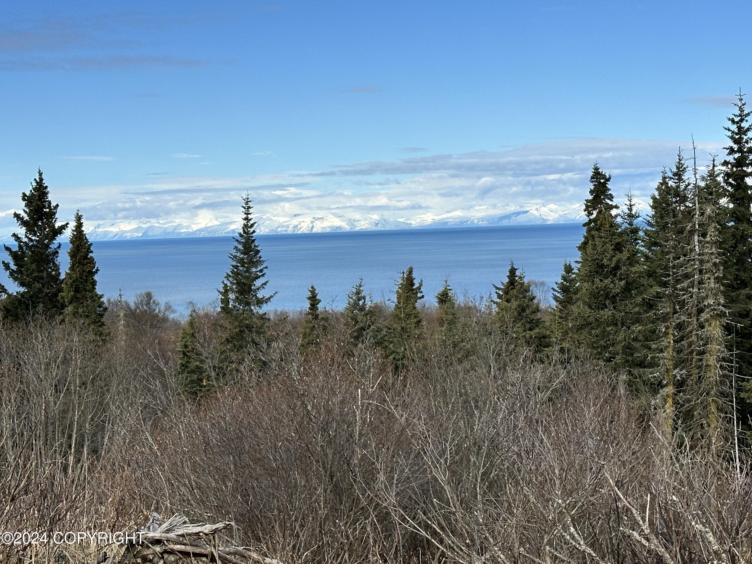 72380 Sterling Highway