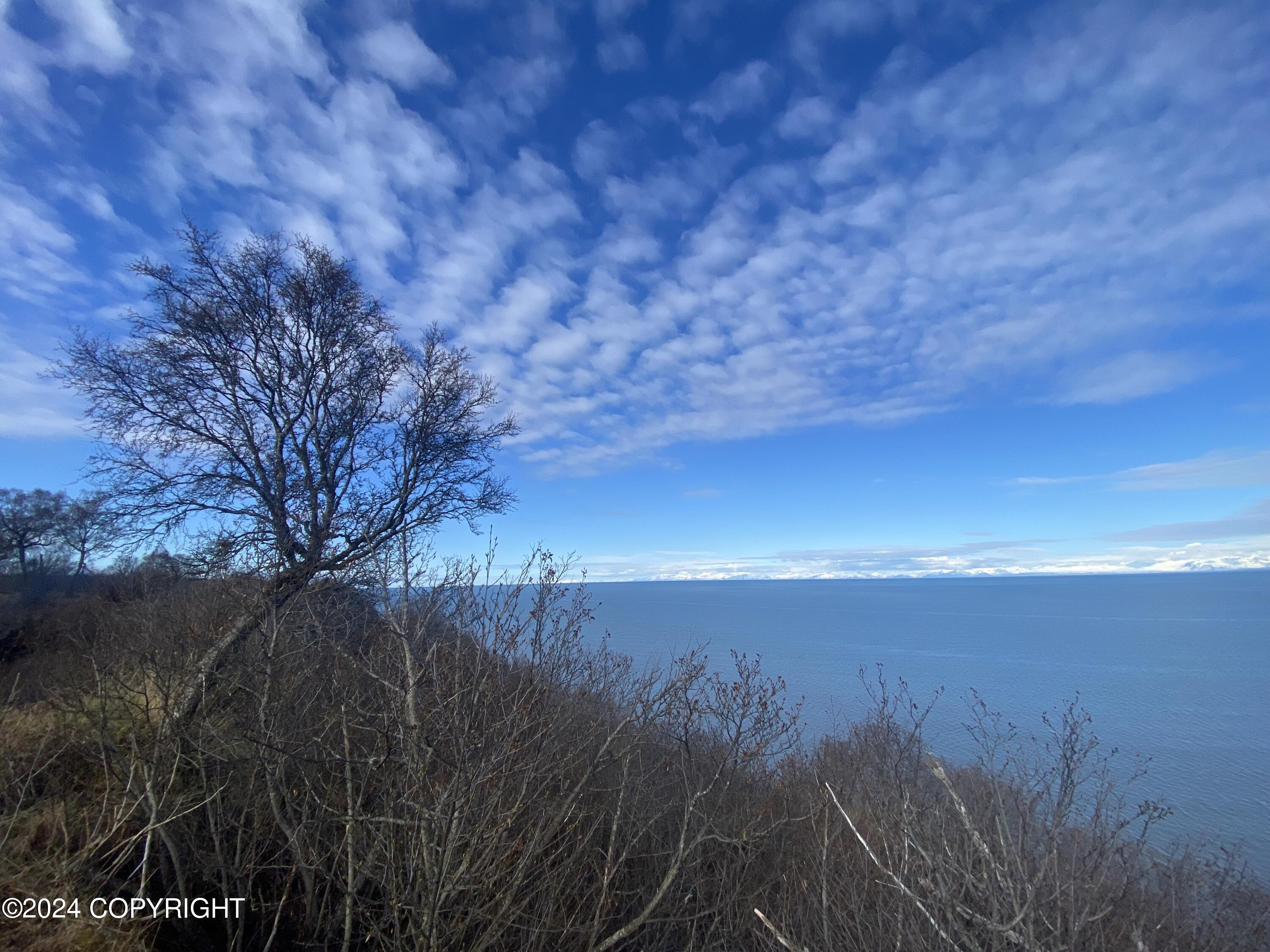 72380 Sterling Highway